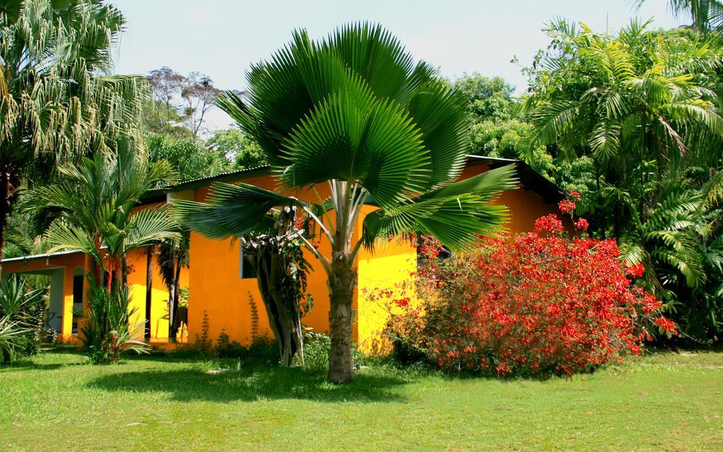 El Ranchito Surfcamp Hotel Pedregal Bagian luar foto